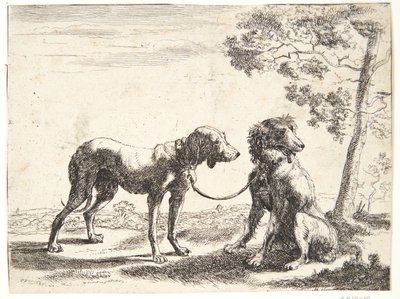 Two Dogs Tied Together by Paulus van Hillegaert (II)