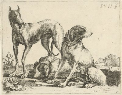 Three Dogs (Various Dogs) by Pauwels van Hillegaert