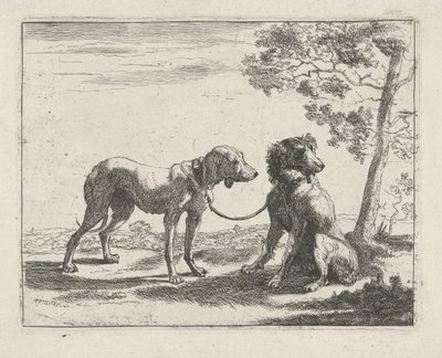 Two Dogs (series: Dogs) by Pauwels van Hillegaert