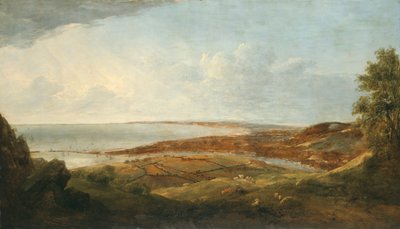 Swansea by Penry Williams