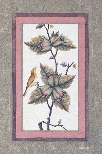 Bird and Flower Study by Persian School