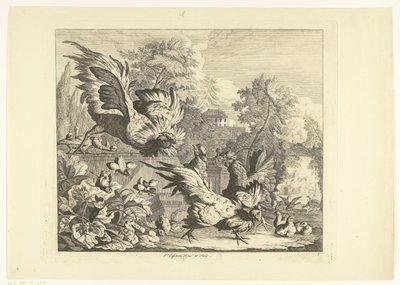 Cockfight by Peter Casteels (III)