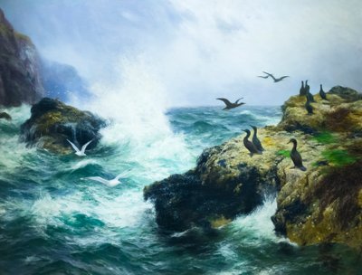 Rocky Shore by Peter Graham