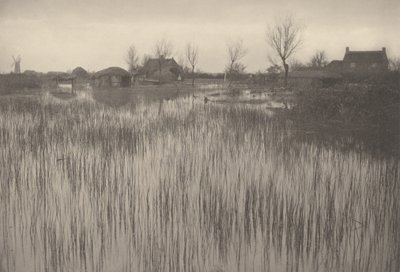 A Rushy Shore by Peter Henry Emerson