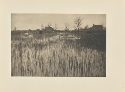 A Rushy Shore by Peter Henry Emerson