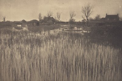 A Rushy Shore by Peter Henry Emerson