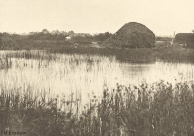 Autumn Floods by Peter Henry Emerson