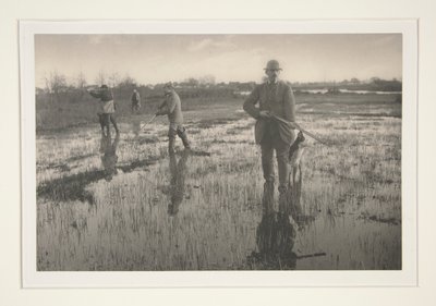 Men Hunting in a Marsh by Peter Henry Emerson