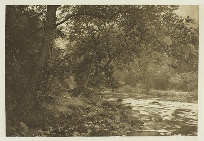 Near Reynard