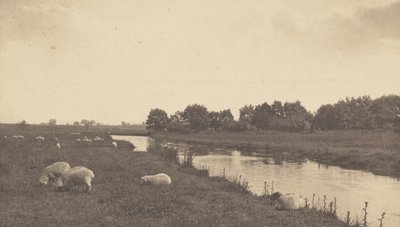On the River Bure by Peter Henry Emerson