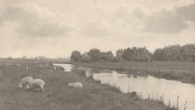 On the River Bure, 1886 by Peter Henry Emerson