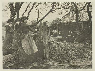 Osier-Peeling (Norfolk) by Peter Henry Emerson