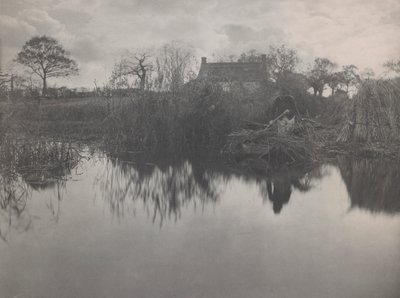 Quanting the Gladdon by Peter Henry Emerson