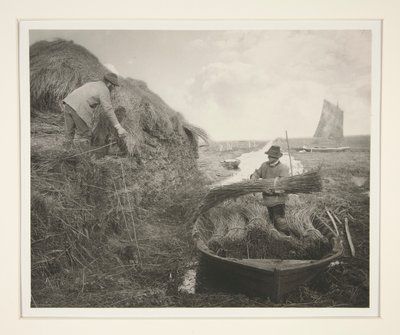 Ricking the Reed by Peter Henry Emerson