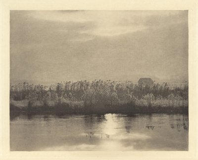 Rime Crystals by Peter Henry Emerson