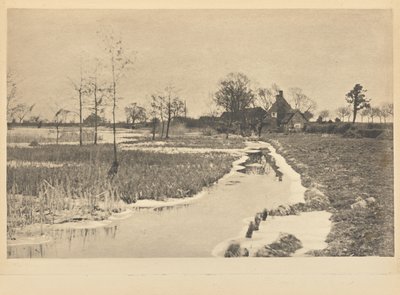 The Edge of the Broad by Peter Henry Emerson
