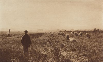 The Marshes in June by Peter Henry Emerson