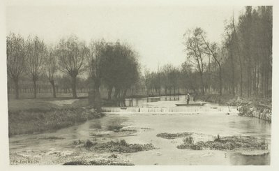 The Shoot, Amwell Magna Fishery by Peter Henry Emerson