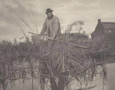 Cutting the Gladdon by Peter Henry Emerson and T.F. Goodall