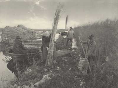 During the Reed-Harvest by Peter Henry Emerson and T.F. Goodall