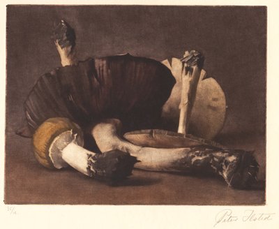 Yellow Mushroom by Peter Vilhelm Ilsted