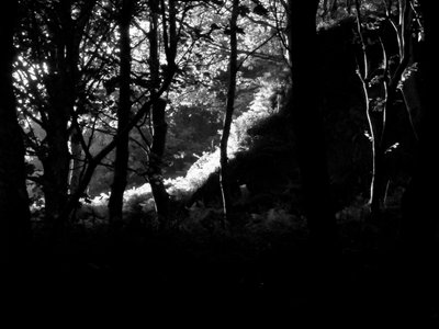 Kintyre... Plus. 17 by Peter McClure