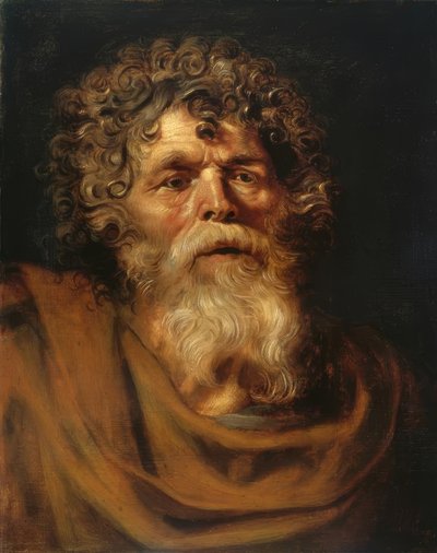 Portrait of a Bearded Old Man by Peter Paul Rubens