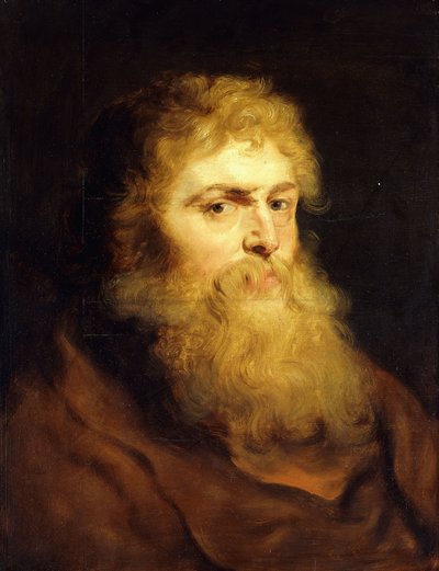 Head of a Bearded Man by Peter Paul Rubens