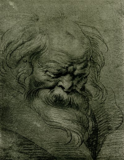 Head Study for Bacchus by Peter Paul Rubens