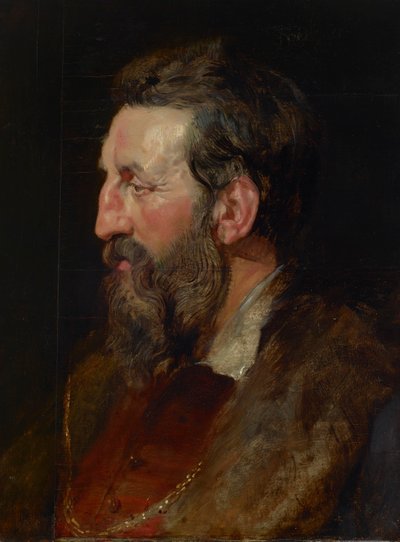 Portrait of a Man by Peter Paul Rubens