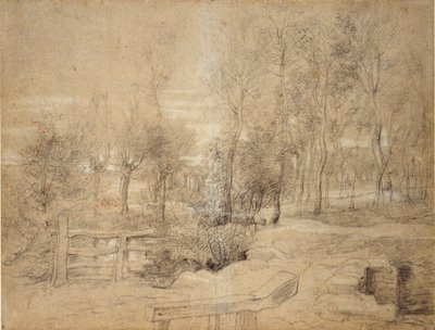 Woodland Scene by Peter Paul Rubens