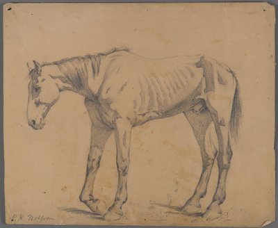 Horse by Philip H. Wolfrom