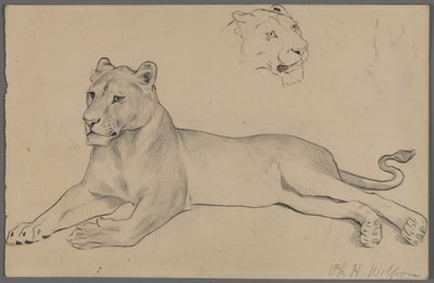 Seated Lioness by Philip H. Wolfrom
