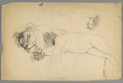 Sleeping Lion by Philip H. Wolfrom