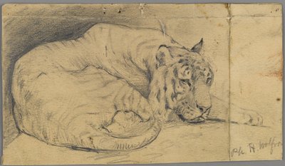Sleeping Tiger by Philip H. Wolfrom