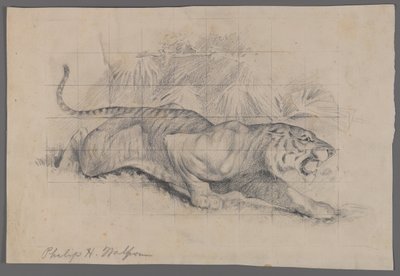 Tiger in Landscape by Philip H. Wolfrom