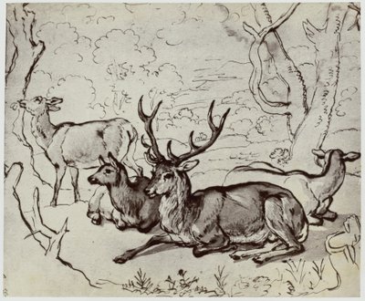 Ridinger, A Deer by Philip Henry Delamotte