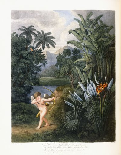And Then Divine Linnaeus by Philip Reinagle