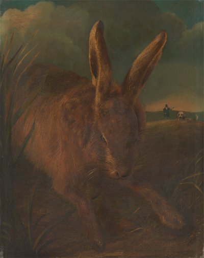 Hare Coursing by Philip Reinagle
