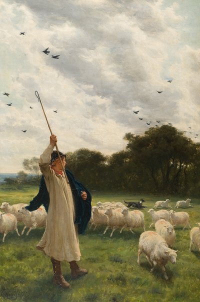 Changing Pasture by Philip Richard Morris