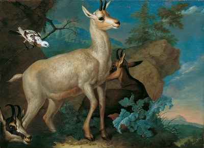 Three Chamois and a Blackbird by Philipp Ferdinand de Hamilton