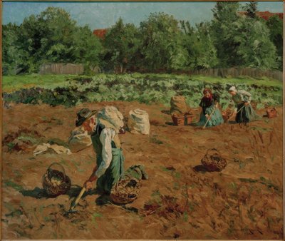 Potato Harvest by Philipp Franck