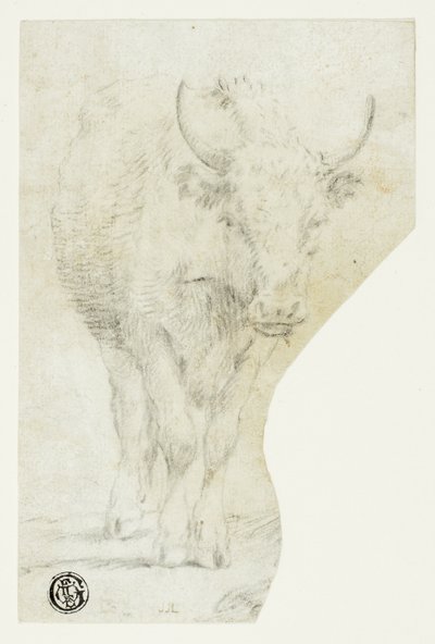 Cow by Philipp Peter Roos