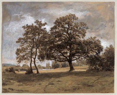 The Otto-Fröhlicher Oak by Philipp Röth