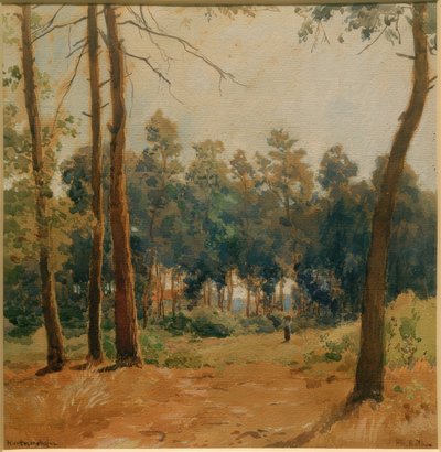 Forest Landscape near Hartmannshofen by Philipp Röth