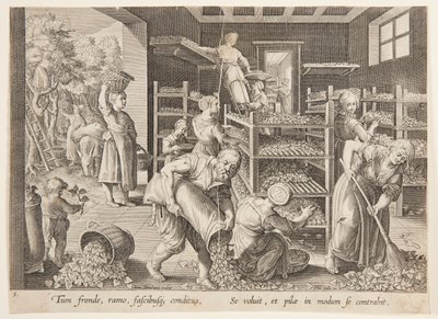 Spreading the Leaves on the Feeding Trays by Philips Galle