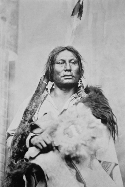 Chief Gall (c.1840-94) by Photographer American