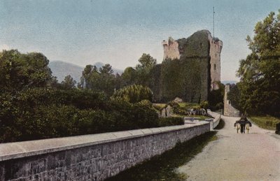 Southern Ireland: Ross Castle, Killarney by Photographer Irish