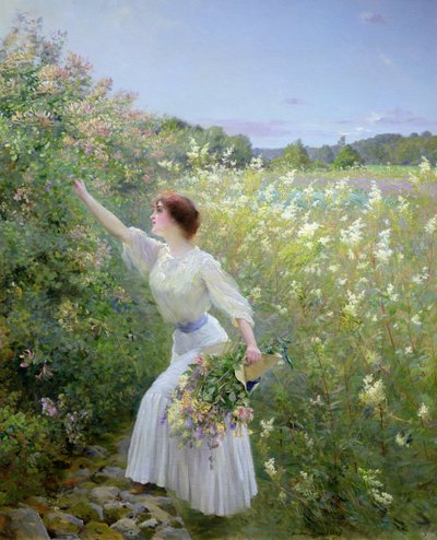 Wild Honeysuckle by Pierre Andre Brouillet