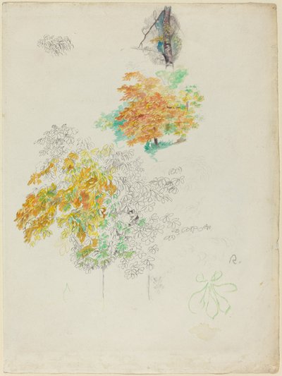 Studies of Trees by Pierre Auguste Renoir